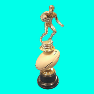 Rugby Spinner