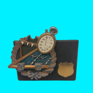 Swimming Appreciation Award