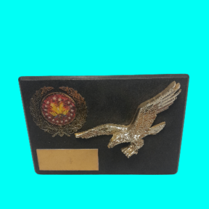 Victory Appreciation Award