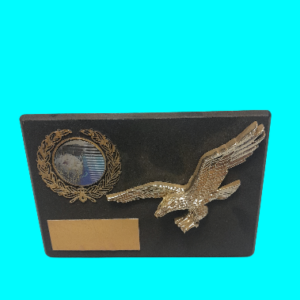 Netball Appreciation Award