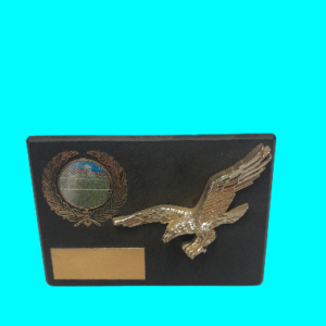 Rugby Appreciation Award