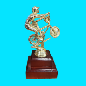Bicycle- Mountain Bike