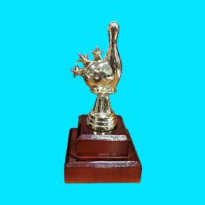 Tenpin-Ball & Pin Figure