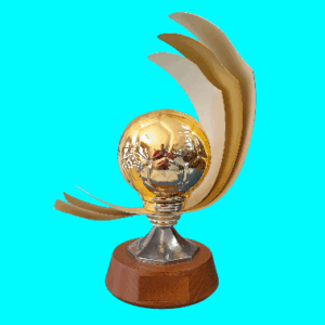 Embrace Soccer Trophy