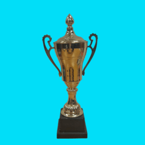 GOLD METAL CUP