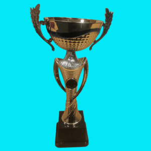 GOLD OPEN METAL CUP