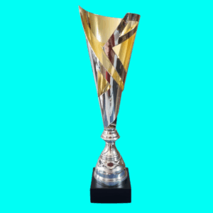 GOLD AND SILVER PRESENTATION CUP