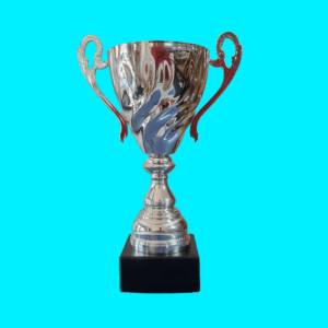 SILVER OPEN METAL CUP