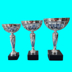 Silver Metal Cup