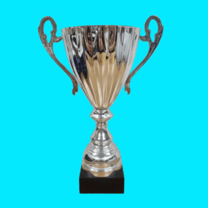 SILVER OPEN METAL CUP