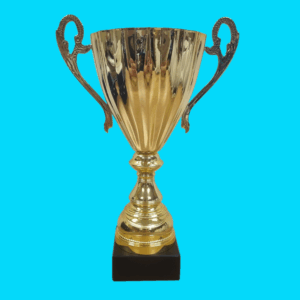 GOLD OPEN METAL CUP