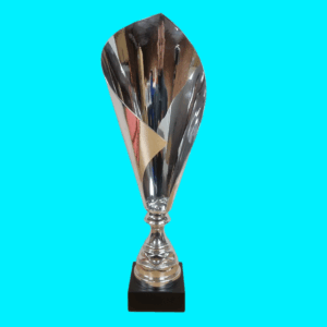 Silver Metal Trophy