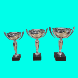 SILVER METAL OPEN CUP