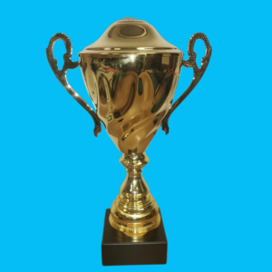 GOLD METAL CUP