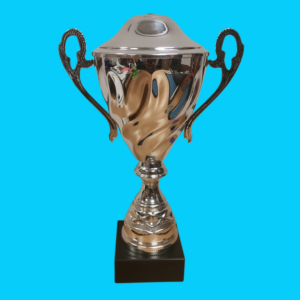 SILVER METAL CUP
