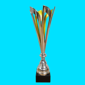 Silver & Gold Open Flame Cup