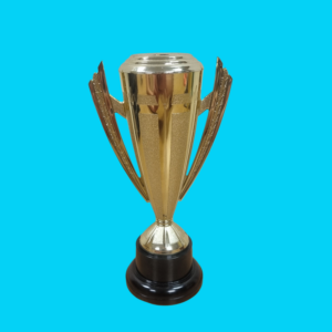 Flare Cup