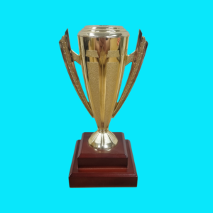 Flare Cup